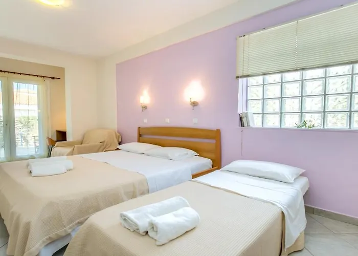 Amversa's House 3* ポトス