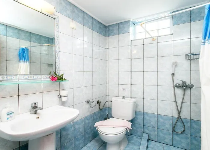 Amversa's House ポトス