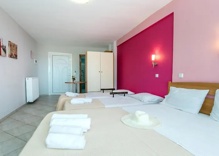 Amversa's House ポトス